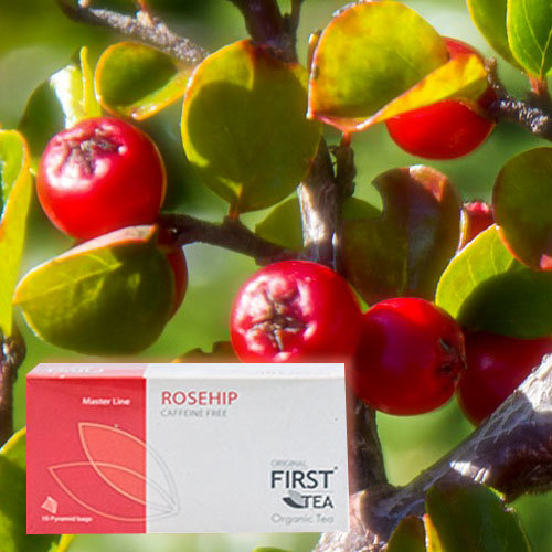 Rosehip ORGANIC TEA