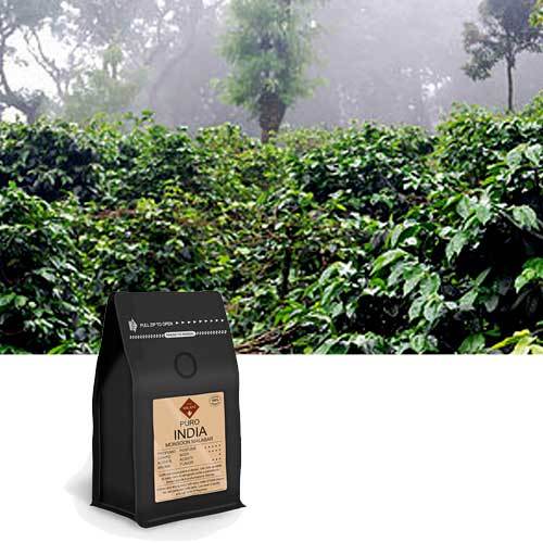 Puro INDIA Monsoon Malabar